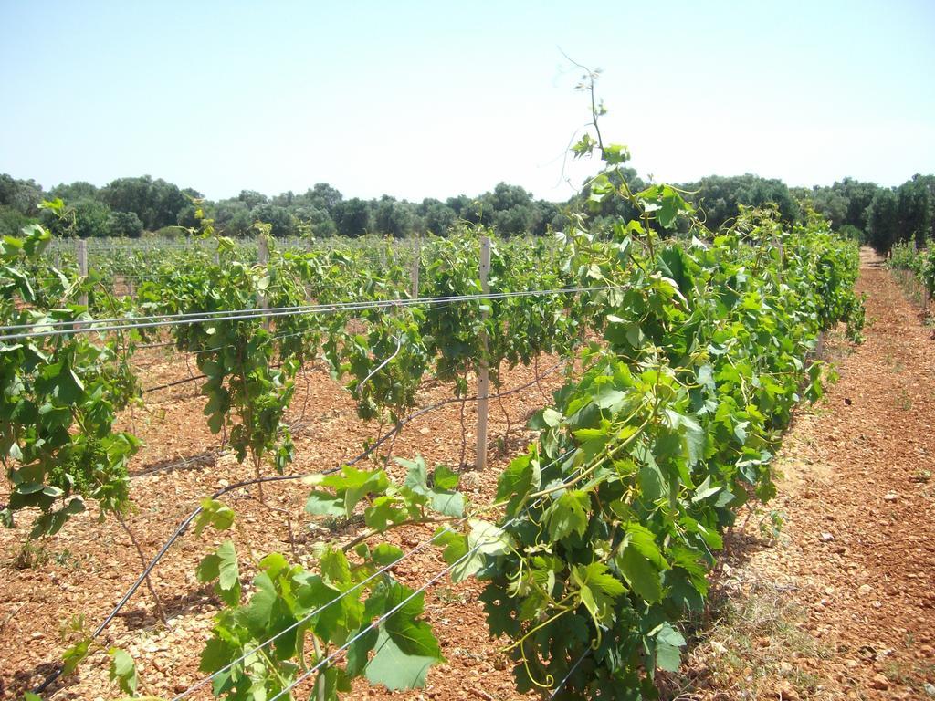 Masseria Nuova Francavilla Fontana Exterior foto