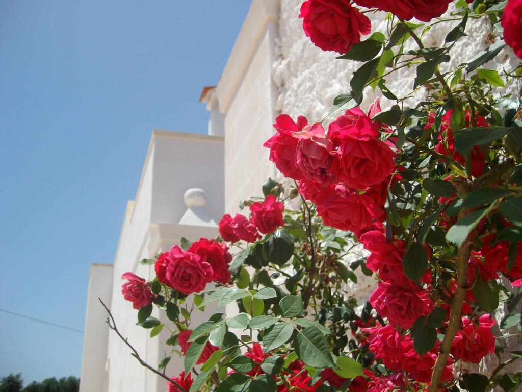 Masseria Nuova Francavilla Fontana Exterior foto