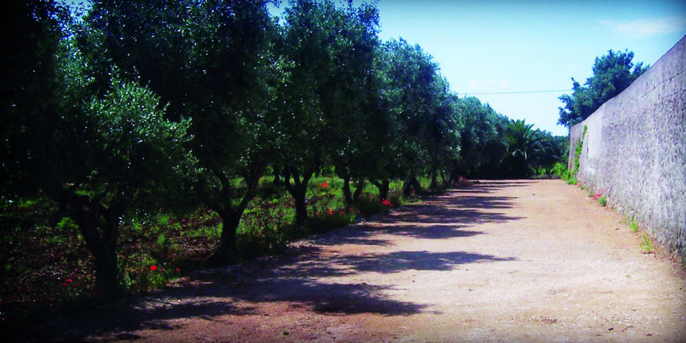 Masseria Nuova Francavilla Fontana Exterior foto